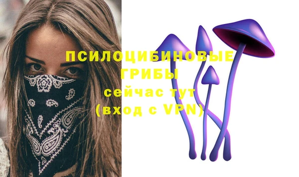 гашишное масло Каменск-Шахтинский