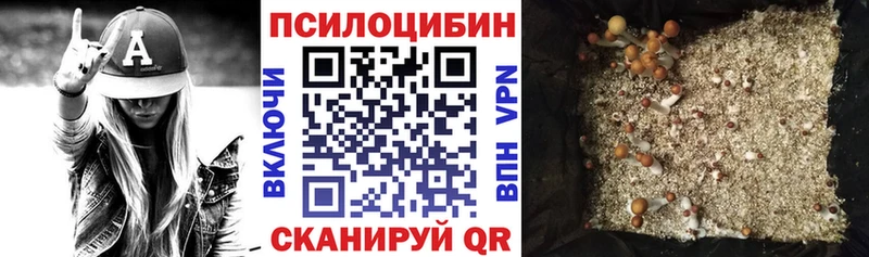 Псилоцибиновые грибы мицелий  Купить где  Дюртюли 